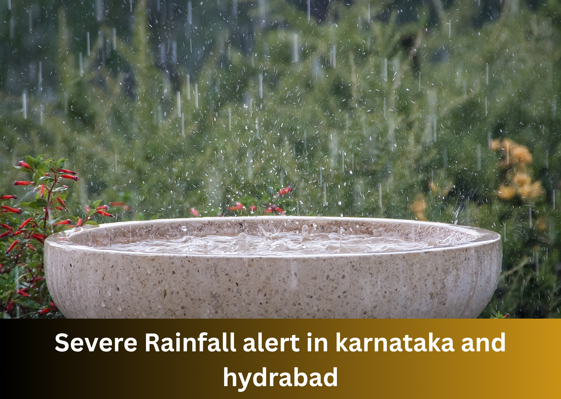 Severe Rainfall Alert imd