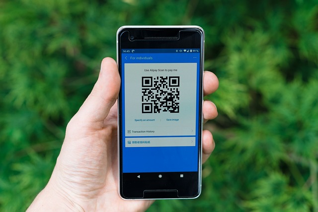 GST Payment UPI Transactions