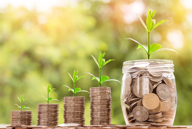 hdfc bank results net profit