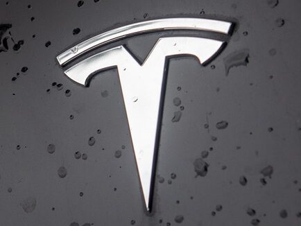 tesla india model 3