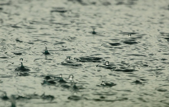 Severe Rainfall Alert imd