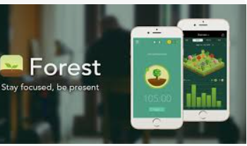 productivity apps Project management apps ಕನ್ನಡ Productivity tools